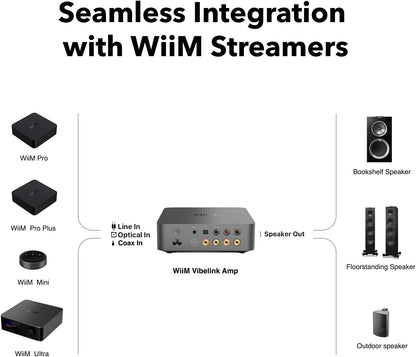 WiiM Vibelink Amp 100W Power Amplifier