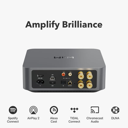 WiiM Amp: airplay2 Streaming Amplifier